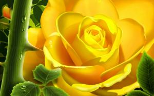 Big Yellow Rose wallpaper thumb