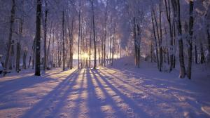 Beautiful Winter Sunrise In The Forest - [hd1080p] wallpaper thumb