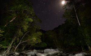 Night Moonlight Stars Trees Rocks Stones HD wallpaper thumb