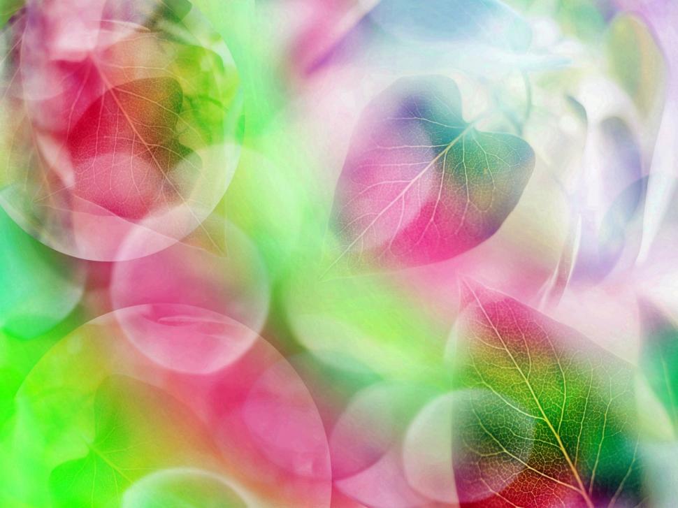 Abstract, Rainbow, Leaves, Bubble, Colorful wallpaper,abstract wallpaper,rainbow wallpaper,leaves wallpaper,bubble wallpaper,colorful wallpaper,1600x1200 wallpaper