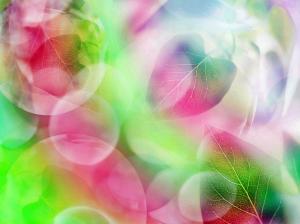 Abstract, Rainbow, Leaves, Bubble, Colorful wallpaper thumb