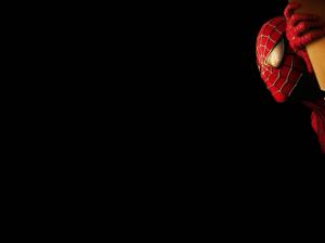 Movies, Super Power, Spider Man, Hero, Dark Background wallpaper thumb