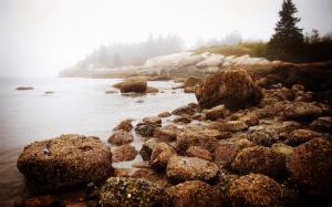 Rocks Stones Shore Water Mist Fog HD wallpaper thumb