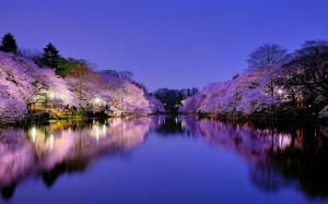 Japan, Osaka, city park at night, lake, lights, cherry trees flowering wallpaper thumb