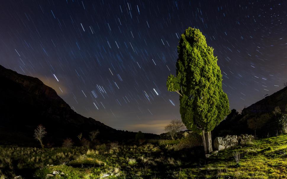 Tree Night Stars Timelapse Sky Landscapes Mountains Ruins For Mobile wallpaper,landscapes HD wallpaper,mobile HD wallpaper,mountains HD wallpaper,night HD wallpaper,ruins HD wallpaper,stars HD wallpaper,timelapse HD wallpaper,tree HD wallpaper,1920x1200 wallpaper