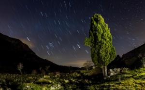 Tree Night Stars Timelapse Sky Landscapes Mountains Ruins For Mobile wallpaper thumb