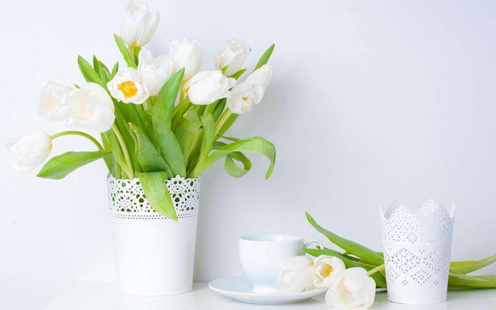 Tulips White Flowers Vase Spring wallpaper,tulips wallpaper,white wallpaper,flowers wallpaper,vase wallpaper,spring wallpaper,1680x1050 wallpaper