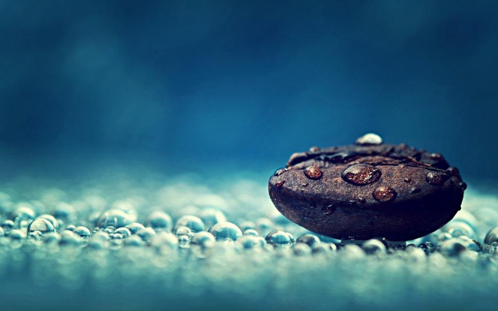 Coffee Bean and Water Drops wallpaper,Other HD wallpaper,1920x1200 wallpaper