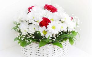 Bouquets Camomile flowers wallpaper thumb