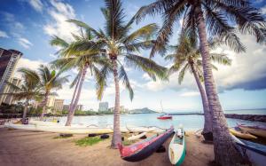 Tropical Palm Trees Beach Buildings Ocean Canoe HD wallpaper thumb