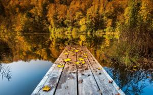 Autumn lake, woods and deciduous wallpaper thumb