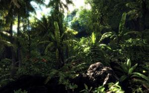 Jungle, Nature, Trees, Forest, Sunshine, Landscape wallpaper thumb