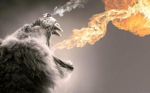 Lion roaring flames wallpaper thumb