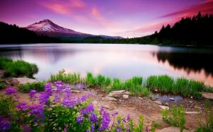 Beautiful purple sunset above the lake wallpaper thumb