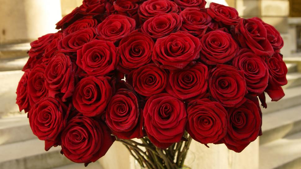 Beautiful Red Roses Flowers, Bouquet wallpaper,red HD wallpaper,roses HD wallpaper,1920x1080 wallpaper