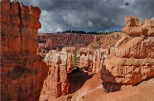 Bryce Canyon Utah United States America Mountains Rocks Landscape Photo Download wallpaper thumb