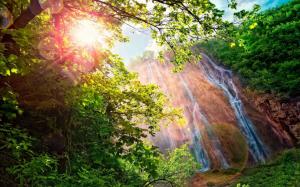 Forest, Waterfall, Sunlight, Nature, Landscape, Branch wallpaper thumb