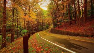 Autumn road photo wallpaper thumb