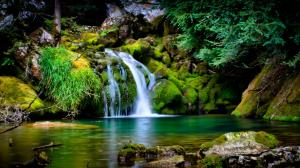 Magical Forest Waterfall wallpaper thumb