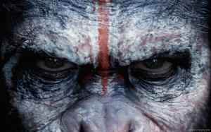 Dawn of the Planet of the Apes Movie wallpaper thumb