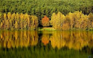 Golden Autumn Lake wallpaper thumb