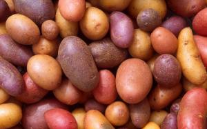 Potatoes wallpaper thumb