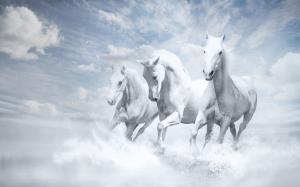 White Horses wallpaper thumb