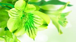 Green Petals wallpaper thumb