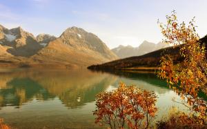 Lake, mountains, forest, shrub, sunshine, autumn wallpaper thumb