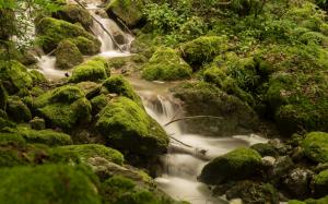 Waterfall Moss Rocks Stones Green Jungle Forest HD wallpaper thumb