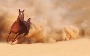 Horse Running Dust wallpaper thumb