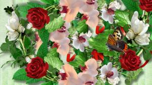 Roses Butterflies wallpaper thumb