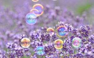 Bubbles Flowers Purple Spring wallpaper thumb