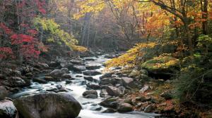 Little River, Tremont, Great Smoky Mountains National Park, Tennessee. wallpaper thumb