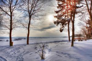 Winter, Landscape, Trees, Snow, Cold wallpaper thumb