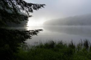 Dew Nature Fog Lake Morning Photo Gallery wallpaper thumb