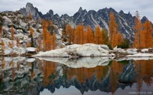 Golden larches and Prusik Peak Reflected in Water wallpaper thumb
