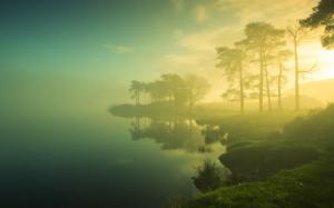 Beautiful dawn scenery, trees, lake, mist, sunrise, blurry wallpaper thumb