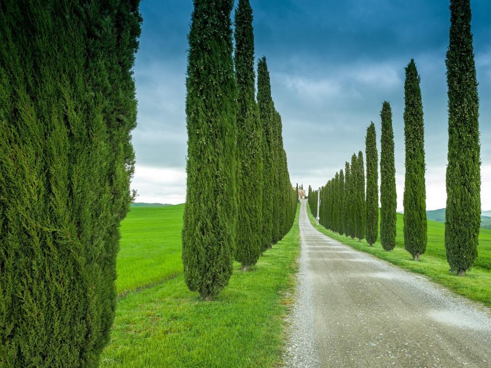 Tuscany, Italy, road, grass, cypress wallpaper,Tuscany HD wallpaper,Italy HD wallpaper,Road HD wallpaper,Grass HD wallpaper,Cypress HD wallpaper,1920x1440 wallpaper