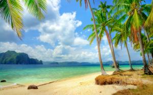 Tropical coast, beach, coast, sea, blue, palm trees, clouds wallpaper thumb