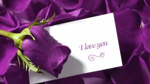 Love, Purple, Rose, Letter, Petals wallpaper thumb