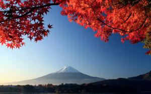 Mount Fuji Autumn Maple Japan wallpaper thumb