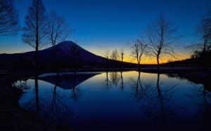 Japan, mount Fuji, night, lake, trees wallpaper thumb