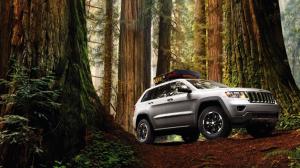 Jeep Grand Cherokee Redwood Forest Trees SUV HD wallpaper thumb