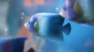 Blue aquarium fish wallpaper thumb