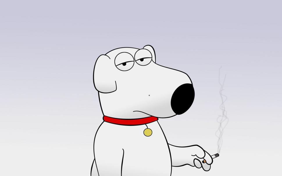 Family Guy Brian wallpaper,sitcom HD wallpaper,animated HD wallpaper,funny HD wallpaper,dog HD wallpaper,1920x1200 wallpaper