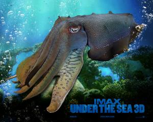 IMAX Under The Sea 1 wallpaper thumb