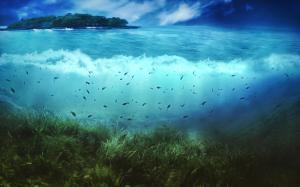 water, island, fishes, sea, bottom, vegetation, underwater world, art wallpaper thumb
