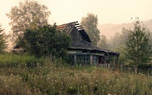 Old house, morning, trees, grass, wildflowers, fog wallpaper thumb