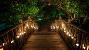 Romantic walkway into the forest wallpaper thumb